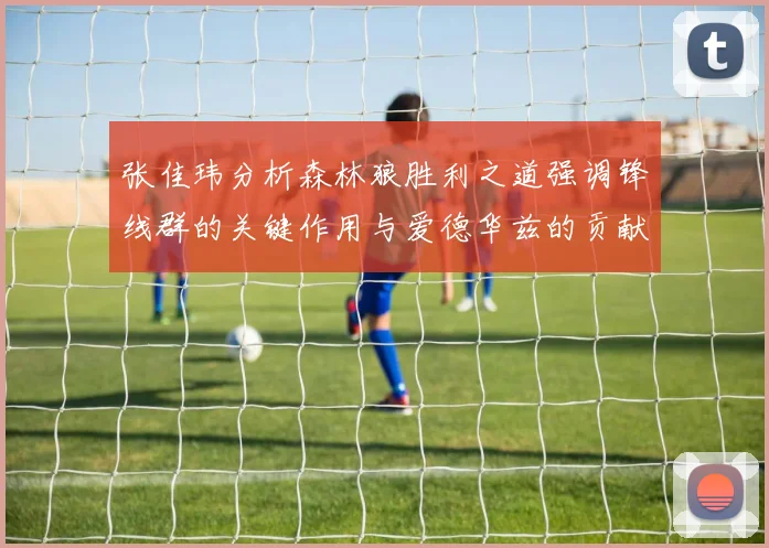 张佳玮分析森林狼胜利之道强调锋线群的关键作用与爱德华兹的贡献