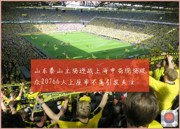 山东泰山主场迎战上海申花现场观众20766人上座率不高引发关注
