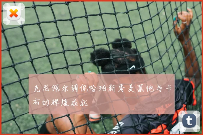 克尼佩尔调侃哈珀新秀羡慕他与卡布的辉煌成就