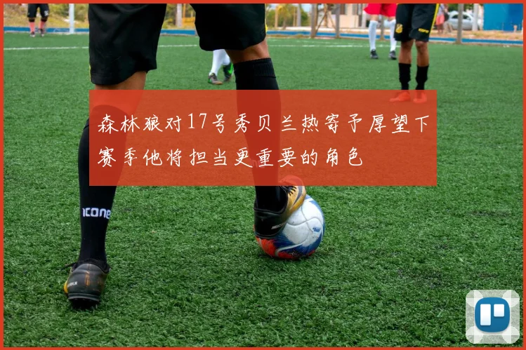 森林狼对17号秀贝兰热寄予厚望下赛季他将担当更重要的角色